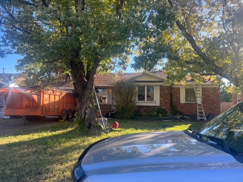 House with large trees around it